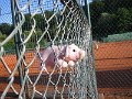 Sommer200517