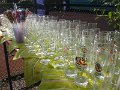 Sommerfest200608