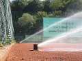 Sommer200624